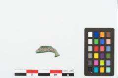 Foto von Bronzecertosafibelfuß (NHMW-PRAE-078066)